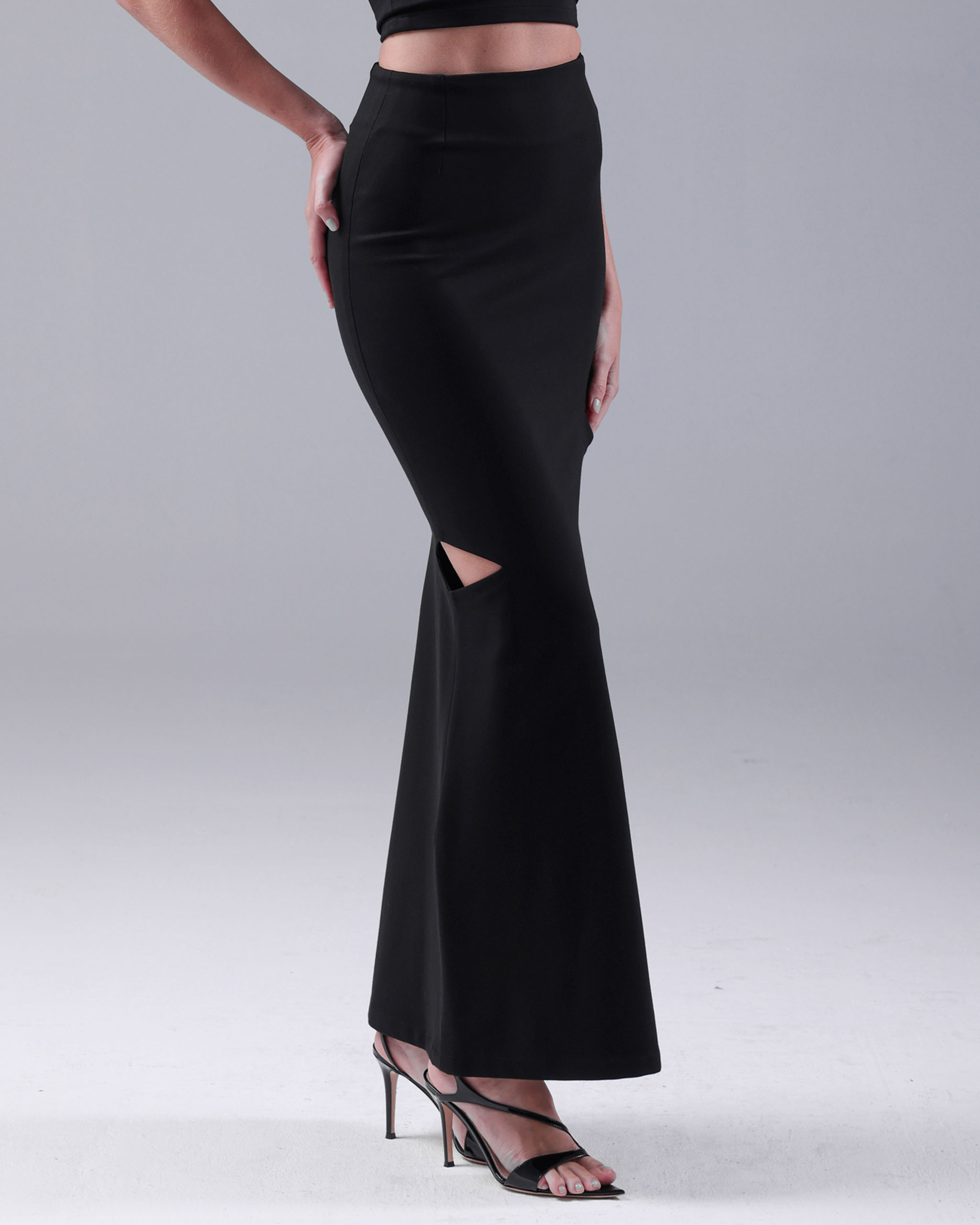 Clear Cut-Out Skirt